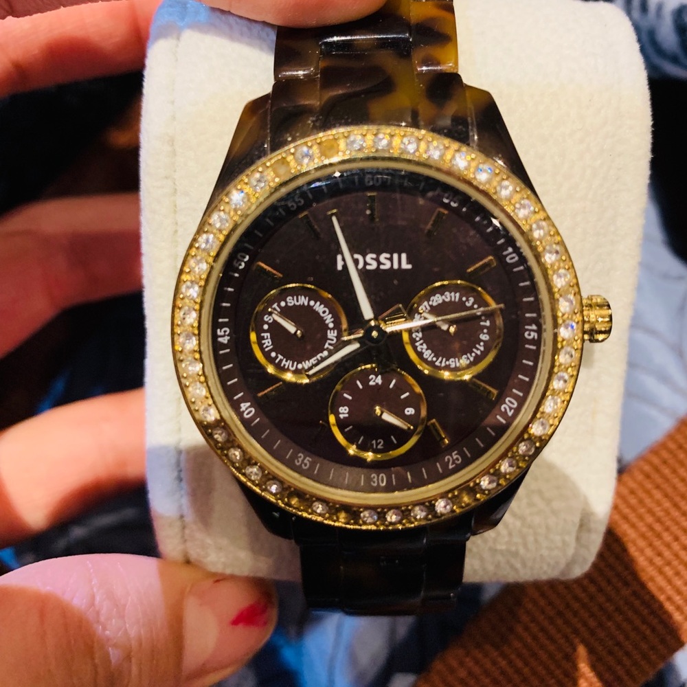 Fossil Tortoise Watch